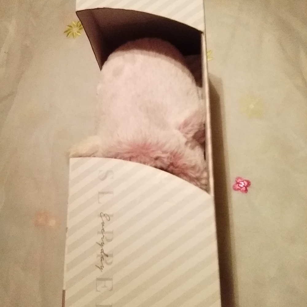 Ladies house shoes
